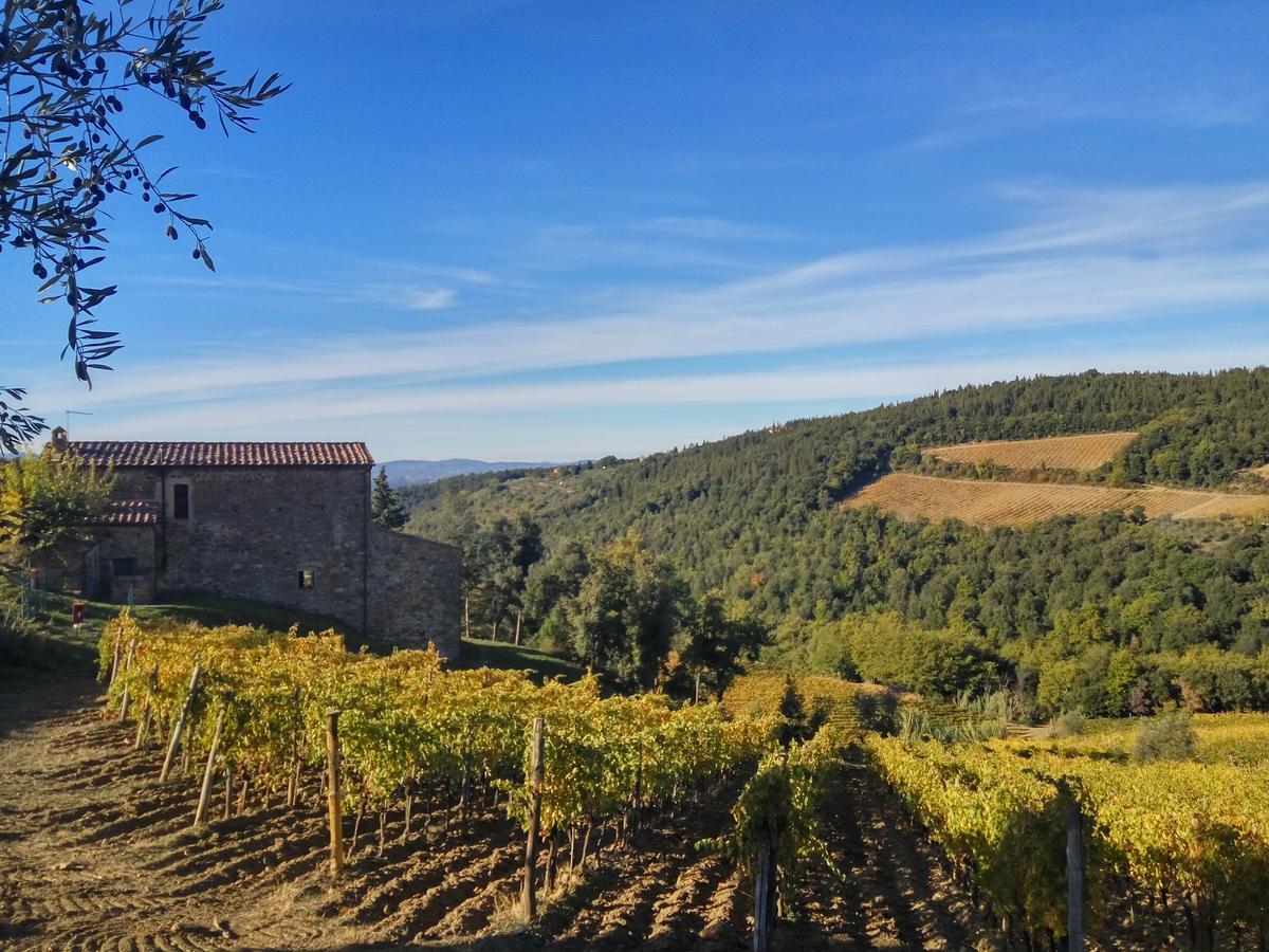 Agriturismo Piemaggino Villa Castellina in Chianti Exterior foto