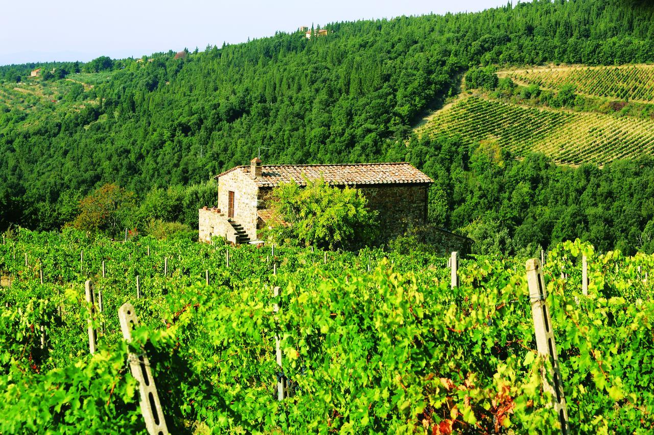 Agriturismo Piemaggino Villa Castellina in Chianti Exterior foto